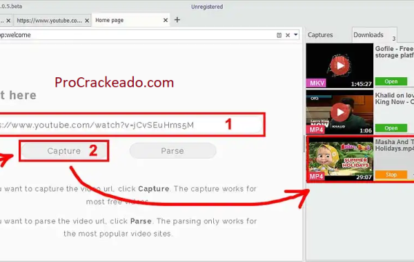 Baixar VCap Downloader Pro Crackeado 2024